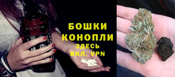 стаф Верея