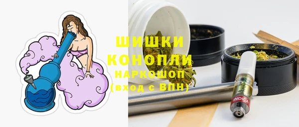 стаф Верея