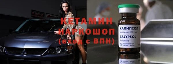 стаф Верея