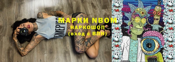 стаф Верея
