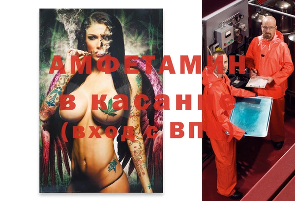 шишки Вяземский