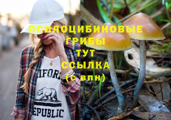 mdpv Верхний Тагил