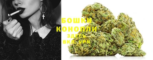 сатива Осташков