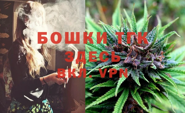 стаф Верея