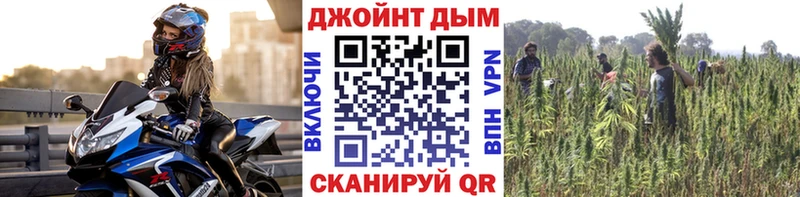 Канабис план  купить  сайты  Завитинск 